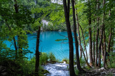 Hırvatistan 'daki Plitvice Gölleri Ulusal Parkı' nın güzel manzarası. Hırvatistan 'ın en eski ve en büyük ulusal parklarından biri. 1979 yılında UNESCO Dünya Mirası 'na eklendi.