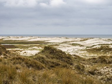 Kuzey Friesland, Almanya 'daki Amrum adasındaki Merdiven adlı kum tepeciği manzarası.