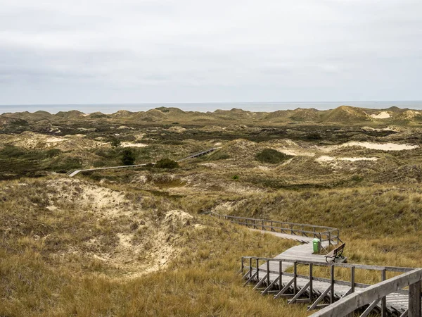 Sand Dune Landscape Overgrown Grass Island Amrum Germany Siatler Setzer — Stock Photo, Image