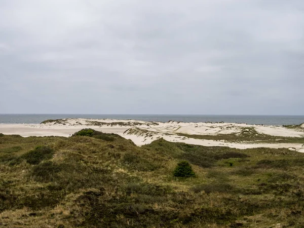 Песчаный Дюнный Пейзаж Названием Planks Way Island Amrum Germany North — стоковое фото