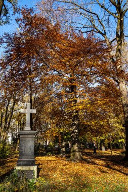 Münih, Almanya - 01 Kasım 2020: Tarihi mezar taşlarıyla ünlü Münih Eski Kuzey Mezarlığı manzarası. Cenazeler 1944 'ten beri burada yapılmadı. Bunun yerine mezarlık bir park olarak kullanılıyor..