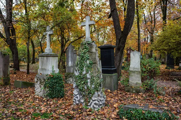 Monaco Baviera Germania Nov 2020 Veduta Del Famoso Cimitero Vecchio — Foto Stock