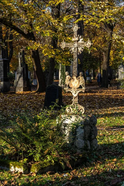 ミュンヘン ドイツ 2020年11月1日 歴史的な墓石を持つドイツ ミュンヘンの有名な旧北墓地の景色 葬儀は1944年以来ここで行われていません 代わりに 墓地は公園として使用されます — ストック写真