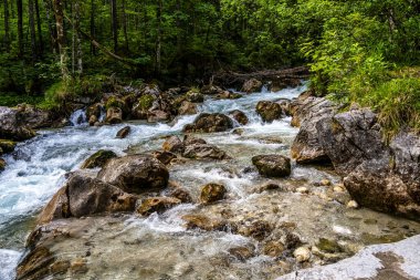 Hintersee Gölü 'ndeki Sihirli Orman Zauberwald ve Creek Ramsauer Ache. Ulusal Park Berchtesgadener Toprakları, Bavyera, Almanya.