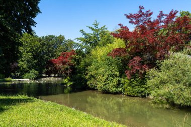 Bir sonbahar günü Münih 'teki Hofgarten Parkı' nda yürüyüş, Avrupa 'da Almanya