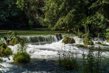 isar 'ın suyu yeşil yosun kayalarının üzerine dökülüyor ve etrafı uzun yeşil ağaçlarla çevrili, İngiliz Bahçesi, Münih, Almanya.