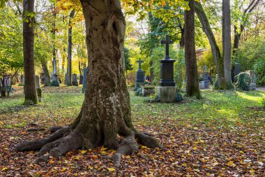 Tarihi mezar taşlarıyla ünlü Münih Eski Kuzey Mezarlığı manzarası. Cenazeler 1944 'ten beri burada yapılmadı. Bunun yerine mezarlık bir park olarak kullanılıyor..