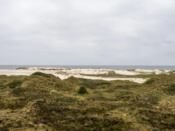 Dünenlandschaft Plankenweg Auf Der Insel Amrum Nordfriesland — Stockfoto
