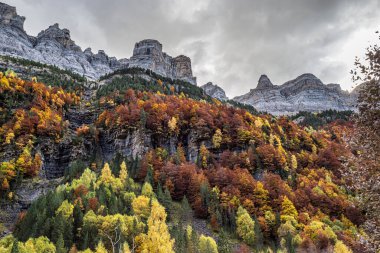 Ordesa ve Monte Perdido Ulusal Parkı, Pireneler, İspanya Aragon 'da sonbahar manzarası.