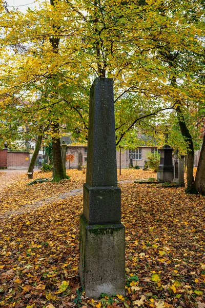 ドイツ ミュンヘン 2021年11月1日 歴史的な墓石を持つドイツ ミュンヘンの有名な旧北墓地の景色 葬儀は1944年以来ここで行われていません 代わりに 墓地は公園として使用されます — ストック写真