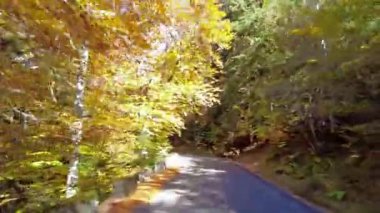 İspanya 'da sonbaharda Pireneler' de, İspanya 'da Avrupa' da Hecho Vadisi 'nde araba sürmek