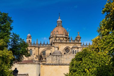 Jerez de la Frontera Katedrali, Katedral de San Salvador. Cadiz, Endülüs, İspanya