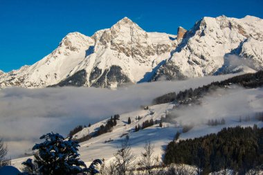 Güzel, huzurlu kış manzarası, çarpıcı sıradağlar, karlı ağaçlar ve mavi gökyüzü Maria Alm 'da, Hinterthal Avusturya' da.