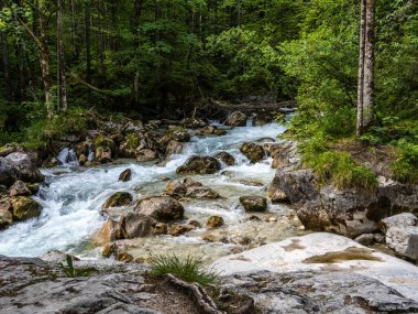 Hintersee Gölü 'ndeki Sihirli Orman Zauberwald ve Creek Ramsauer Ache. Ulusal Park Berchtesgadener Toprakları, Bavyera, Almanya.