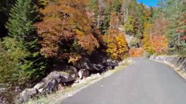 İspanya 'da sonbaharda Pireneler' de, İspanya 'da Avrupa' da Hecho Vadisi 'nde araba sürmek