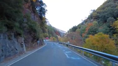 Roncal Vadisi 'nden geçerken, Navarre' de Valle de Roncal, İspanya 'da Navarra, Avrupa