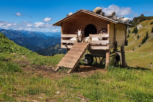 Alpes Bávaros Rotwand Perto Munique Alemanha Sul Europa — Fotografia de Stock