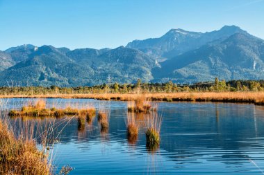Grassau yakınlarındaki Kendlmuehlfilz, Güney Bavyera 'da bir dağlık arazi, Avrupa' da Almanya