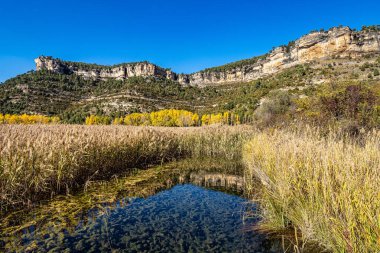 Una lagünü, İspanya 'nın Castilla La Mancha eyaletinin Cuenca eyaletinde yer alan bir gölcük. İspanya 'nın Serrania de Cuenca kentindeki Una' daki göle bakınız.