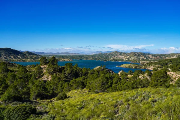 ムルシア州カラスパラ近くのパンターノ エンバレス アルフォンソ13世貯水池 スペインだ セグラ — ストック写真