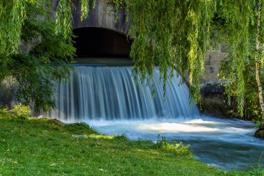 isar 'ın suyu yeşil yosun kayalarının üzerine dökülüyor ve etrafı uzun yeşil ağaçlarla çevrili, İngiliz Bahçesi, Münih, Almanya.