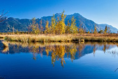 Grassau yakınlarındaki Kendlmuehlfilz, Güney Bavyera 'da bir dağlık arazi, Avrupa' da Almanya