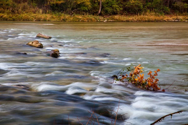 Atmosphère Automnale Dans Forêt Long Isar Ismaning Munich Bavière Allemagne — Photo