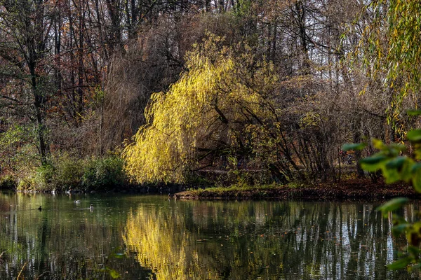 Vista Autunno Dorato Nel Famoso Luogo Relax Monaco Englischer Garten — Foto Stock