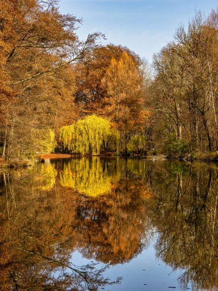 Goldener Herbstblick Berühmten Münchner Erholungsort Englischer Garten Englischer Garten Mit — Stockfoto