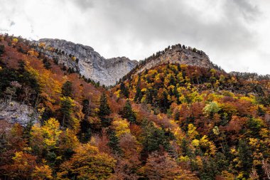 Ordesa ve Monte Perdido Ulusal Parkı, Pireneler, İspanya Aragon 'da sonbahar manzarası.