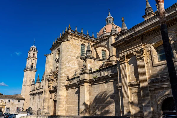 Dom Van Kathedraal Van Jerez Frontera Catedral San Salvador Cadiz — Stockfoto