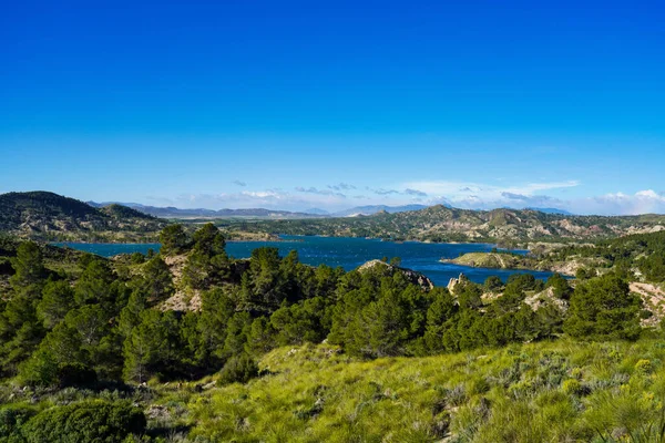 ムルシア州カラスパラ近くのパンターノ エンバレス アルフォンソ13世貯水池 スペインだ セグラ — ストック写真
