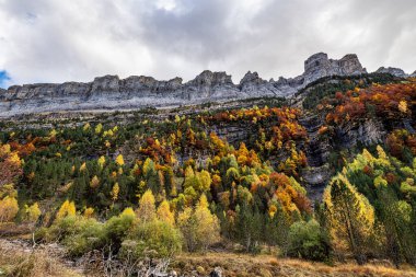 Ordesa ve Monte Perdido Ulusal Parkı, Pireneler, İspanya Aragon 'da sonbahar manzarası.