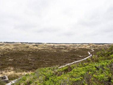 Amrum, Almanya - 29 Mayıs 2021: Kuzey Friesland, Almanya 'daki Amrum adasında Planks Yolu adı verilen kum tepeciği manzarası.