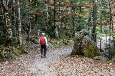 Protezli bir adam Ordesa ve Monte Perdido NP, Pyrenees, Aragon 'da yürüyor. Sırt çantasıyla yürü. Etkin yaşam tarzı, motivasyon ve turizm kavramı.