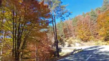 Roncal Vadisi 'nden geçerken, Navarre' de Valle de Roncal, İspanya 'da Navarra, Avrupa
