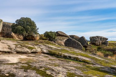 Los Barruecos Doğal Anıtı, Malpartida de Caceres, İspanya Extremadura.