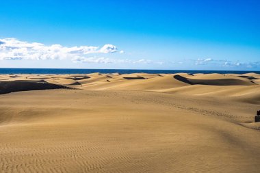 Maspalomas Kum Tepeleri, Dunas de Maspalomas Gran Kanarya Adaları 'nın güney kıyısı, İspanya