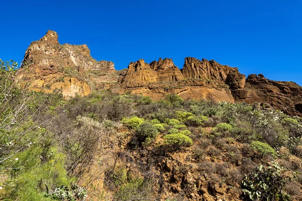 Vandring Från Barranco Guayadeque Till Caldera Los Marteles Ett Vulkaniskt — Stockfoto
