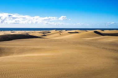 Maspalomas Kum Tepeleri, Dunas de Maspalomas Gran Kanarya Adaları 'nın güney kıyısı, İspanya