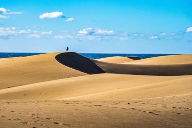 Maspalomas Kum Tepeleri, Dunas de Maspalomas Gran Kanarya Adaları 'nın güney kıyısı, İspanya
