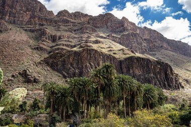 İspanya 'nın Gran Canaria adasındaki Arteara' daki Palm Valley 'in kayalık manzarası. Gran Kanarya, Atlantik Okyanusu 'ndaki Kanarya Adaları' nın en kalabalık ikinci adasıdır..