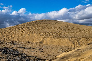 Maspalomas Kum Tepeleri, Dunas de Maspalomas Gran Kanarya Adaları 'nın güney kıyısı, İspanya