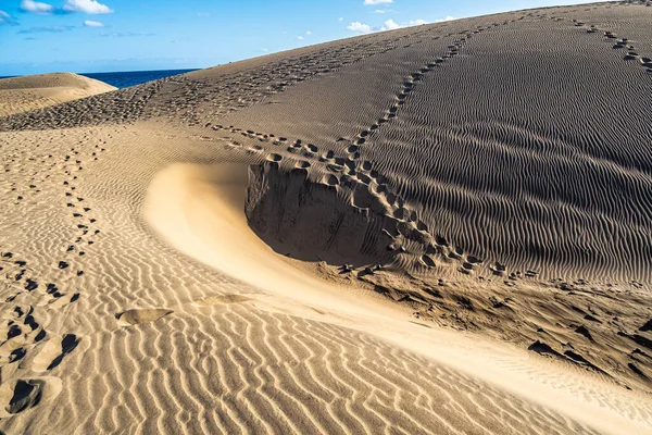 Maspalomas Sand Dunes Dunas Maspalomas South Coast Island Gran Canaria — Stock Photo, Image