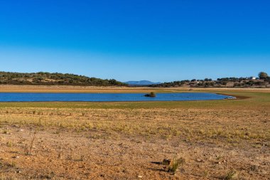 Extremadura 'daki Cornalvo doğal parkının meşe ve mantar meşeleriyle manzarası, Merida. İspanya