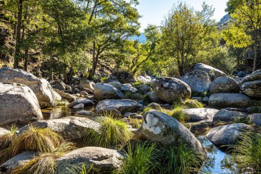 Los Pilones 'un Garganta de los faernos vadisindeki doğal havuzları, Cehennem Geçidi, Jerte vadisi, Caceres, İspanya