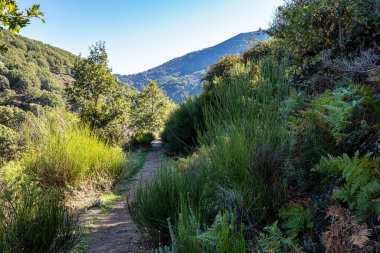 Los Pilones Boğazı, Doğal Rezerv Cehennemi, Garganta de los Infiernos. Extremadura, İspanya 'da doğanın tadını çıkarmak için harika bir yer.