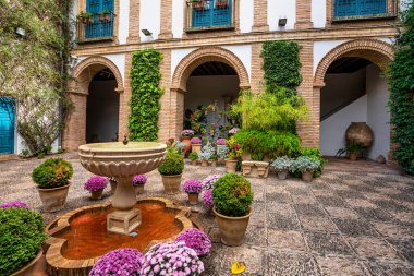Cordoba, İspanya - 3 Kasım 2021: Cordoba, Endülüs 'teki Viana Sarayı' nın avlusu. XV yüzyılda yapılmış. Viana Sarayı 12 muhteşem avlusu ve bahçesiyle bilinen bir turistik merkezdir..