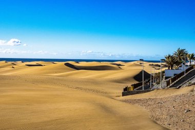 Maspalomas Kum Tepeleri, Dunas de Maspalomas Gran Kanarya Adaları 'nın güney kıyısı, İspanya