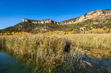 Una lagünü, İspanya 'nın Castilla La Mancha eyaletinin Cuenca eyaletinde yer alan bir gölcük. İspanya 'nın Serrania de Cuenca kentindeki Una' daki göle bakınız.